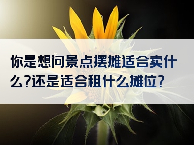 你是想问景点摆摊适合卖什么？还是适合租什么摊位？