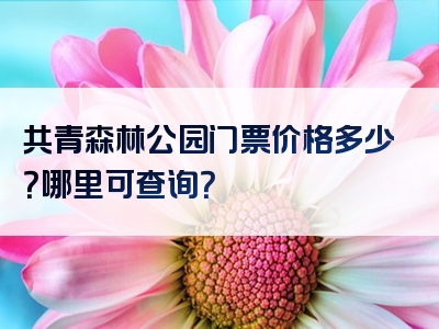 共青森林公园门票价格多少？哪里可查询？