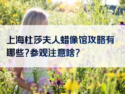 上海杜莎夫人蜡像馆攻略有哪些？参观注意啥？