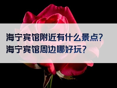 海宁宾馆附近有什么景点？海宁宾馆周边哪好玩？