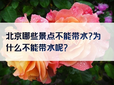 北京哪些景点不能带水？为什么不能带水呢？
