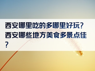 西安哪里吃的多哪里好玩？西安哪些地方美食多景点佳？