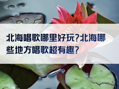 北海唱歌哪里好玩？北海哪些地方唱歌超有趣？