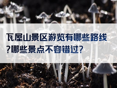 瓦屋山景区游览有哪些路线？哪些景点不容错过？