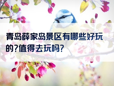 青岛薛家岛景区有哪些好玩的？值得去玩吗？