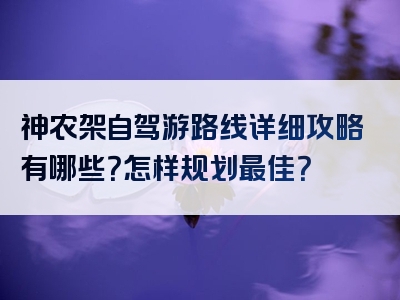 神农架自驾游路线详细攻略有哪些？怎样规划最佳？