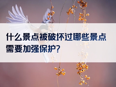 什么景点被破坏过哪些景点需要加强保护？