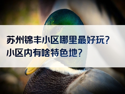 苏州锦丰小区哪里最好玩？小区内有啥特色地？
