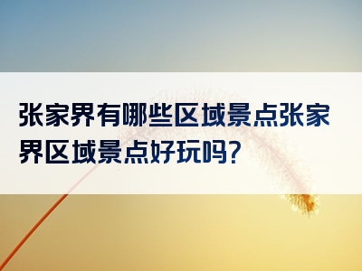 张家界有哪些区域景点张家界区域景点好玩吗？