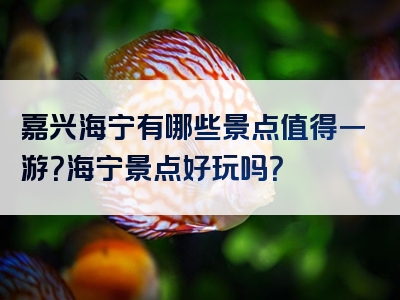 嘉兴海宁有哪些景点值得一游？海宁景点好玩吗？