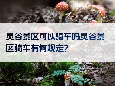 灵谷景区可以骑车吗灵谷景区骑车有何规定？