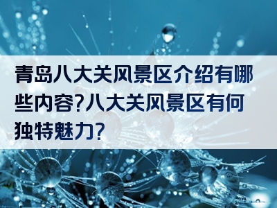 青岛八大关风景区介绍有哪些内容？八大关风景区有何独特魅力？