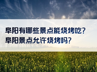 阜阳有哪些景点能烧烤吃？阜阳景点允许烧烤吗？