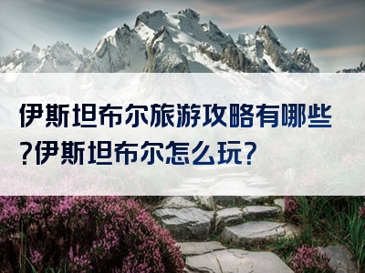 伊斯坦布尔旅游攻略有哪些？伊斯坦布尔怎么玩？