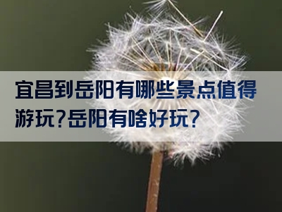 宜昌到岳阳有哪些景点值得游玩？岳阳有啥好玩？