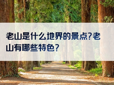 老山是什么地界的景点？老山有哪些特色？