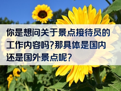 你是想问关于景点接待员的工作内容吗？那具体是国内还是国外景点呢？