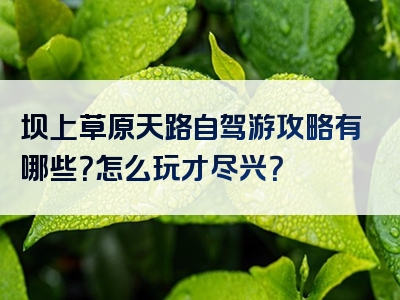 坝上草原天路自驾游攻略有哪些？怎么玩才尽兴？