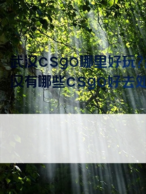 武汉csgo哪里好玩？武汉有哪些csgo好去处？
