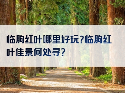 临朐红叶哪里好玩？临朐红叶佳景何处寻？