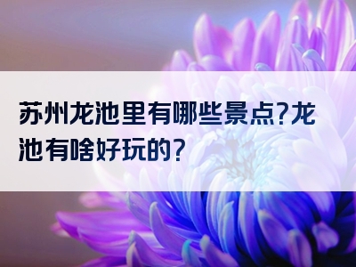 苏州龙池里有哪些景点？龙池有啥好玩的？