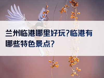 兰州临港哪里好玩？临港有哪些特色景点？