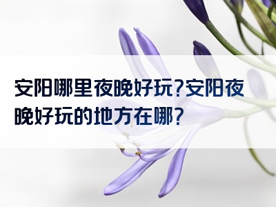 安阳哪里夜晚好玩？安阳夜晚好玩的地方在哪？