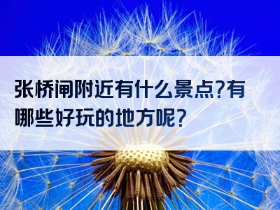 张桥闸附近有什么景点？有哪些好玩的地方呢？