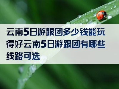 云南5日游跟团多少钱能玩得好云南5日游跟团有哪些线路可选