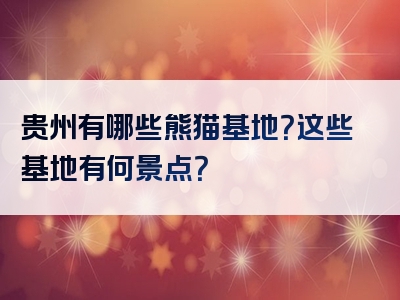 贵州有哪些熊猫基地？这些基地有何景点？