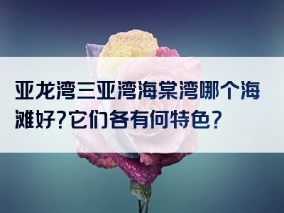 亚龙湾三亚湾海棠湾哪个海滩好？它们各有何特色？