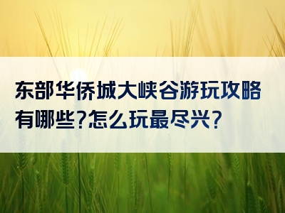 东部华侨城大峡谷游玩攻略有哪些？怎么玩最尽兴？