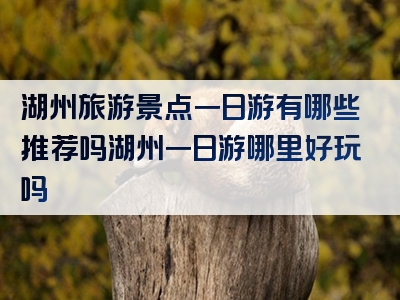 湖州旅游景点一日游有哪些推荐吗湖州一日游哪里好玩吗