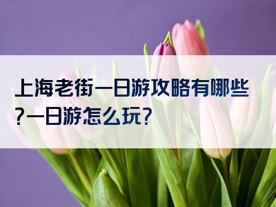 上海老街一日游攻略有哪些？一日游怎么玩？