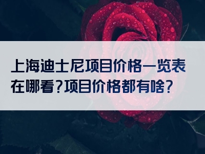 上海迪士尼项目价格一览表在哪看？项目价格都有啥？