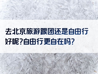 去北京旅游跟团还是自由行好呢？自由行更自在吗？