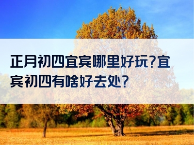 正月初四宜宾哪里好玩？宜宾初四有啥好去处？