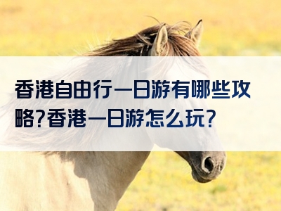 香港自由行一日游有哪些攻略？香港一日游怎么玩？