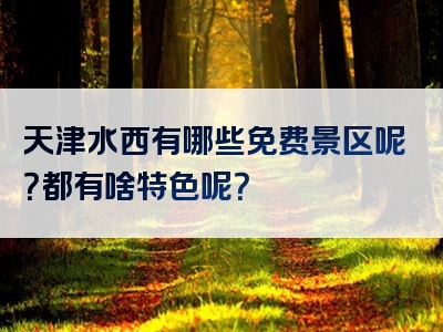 天津水西有哪些免费景区呢？都有啥特色呢？