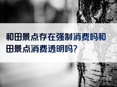 和田景点存在强制消费吗和田景点消费透明吗？