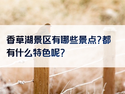 香草湖景区有哪些景点？都有什么特色呢？