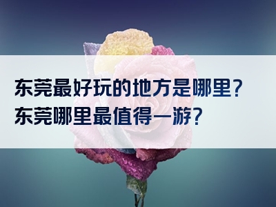 东莞最好玩的地方是哪里？东莞哪里最值得一游？