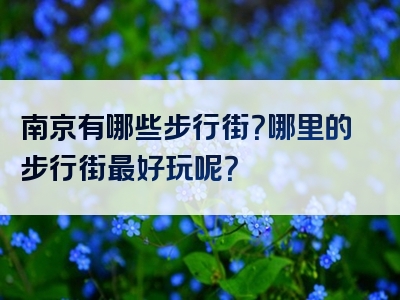 南京有哪些步行街？哪里的步行街最好玩呢？