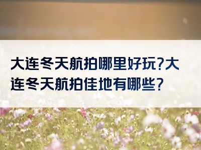 大连冬天航拍哪里好玩？大连冬天航拍佳地有哪些？