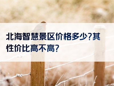 北海智慧景区价格多少？其性价比高不高？