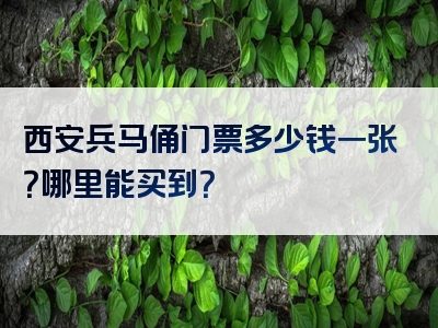 西安兵马俑门票多少钱一张？哪里能买到？