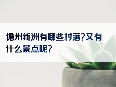 儋州新洲有哪些村落？又有什么景点呢？