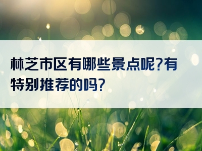 林芝市区有哪些景点呢？有特别推荐的吗？