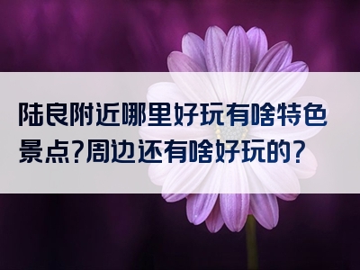 陆良附近哪里好玩有啥特色景点？周边还有啥好玩的？