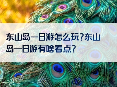 东山岛一日游怎么玩？东山岛一日游有啥看点？